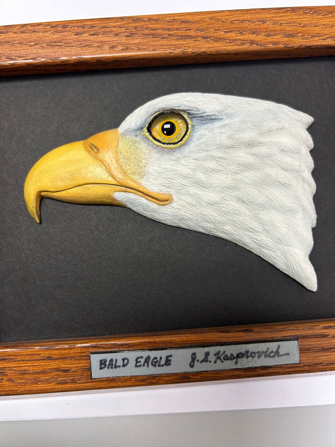 Bald Eagle Head-Wall Mount