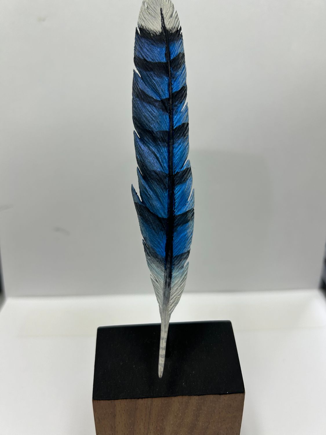 Blue Jay Feather On Base