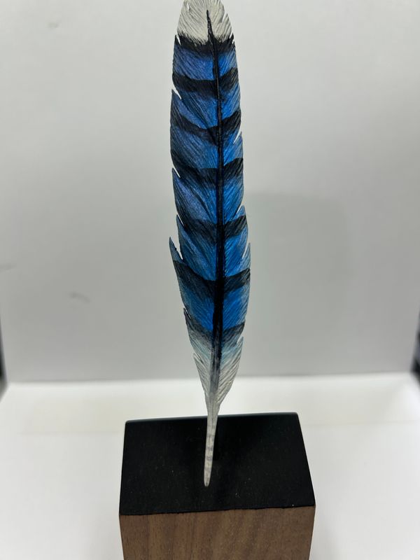 Blue Jay Feather On Base