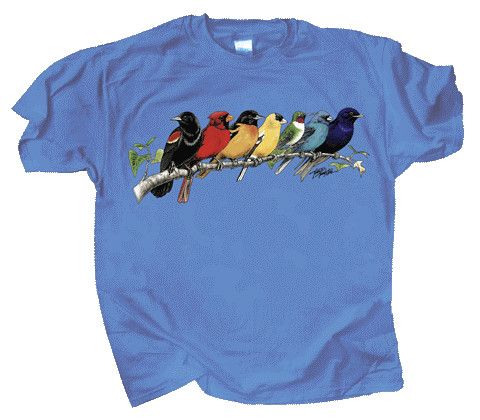 T-Shirt - Songbird Spectrum, Size: S