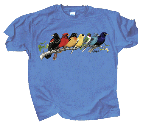 T-Shirt - Songbird Spectrum