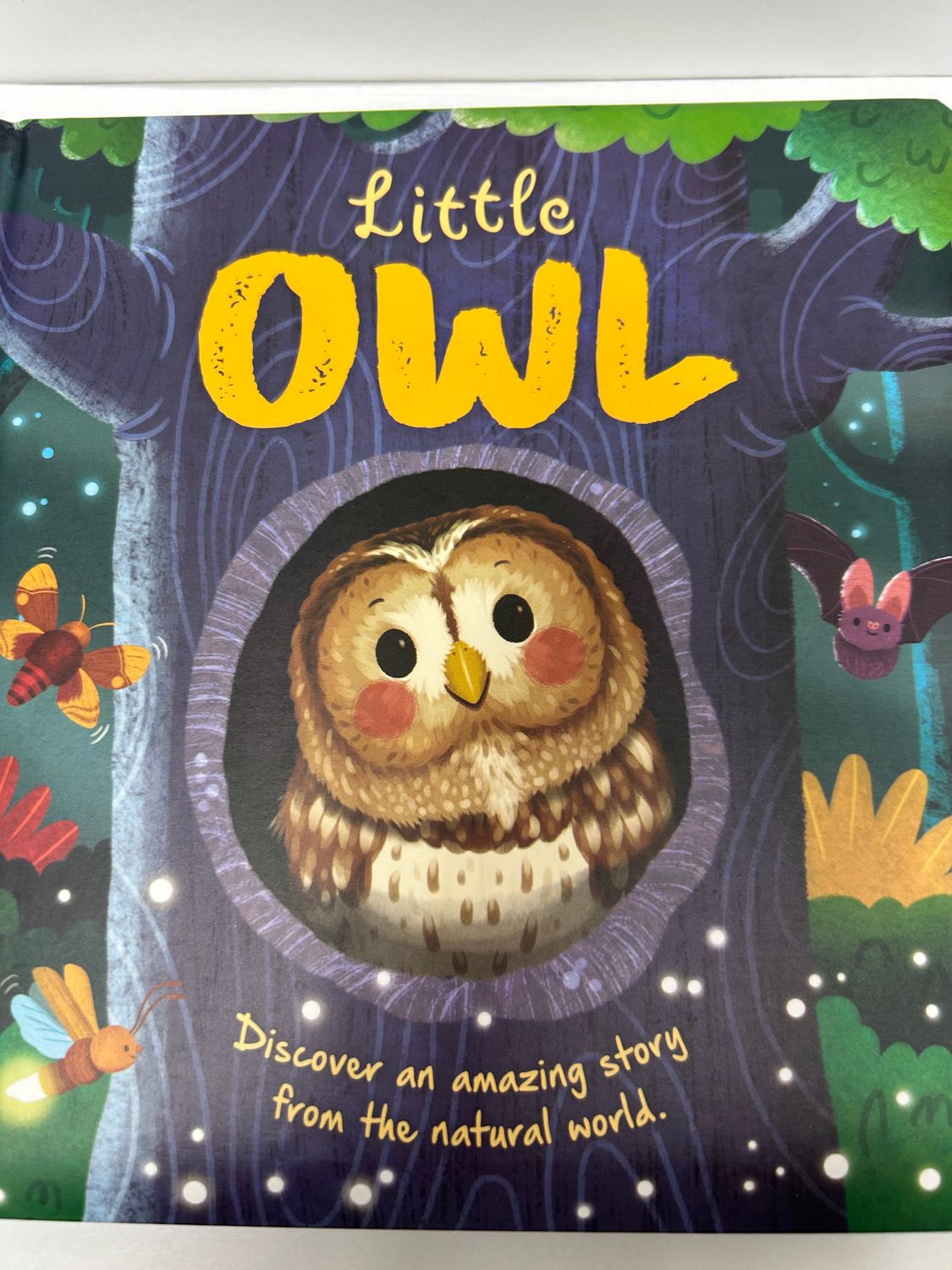 Book - Little Owl