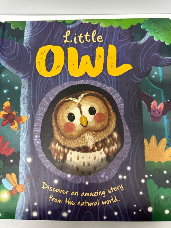 Book - Little Owl