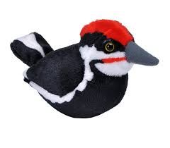 Plush - Audubon Birds, Design: Pileated