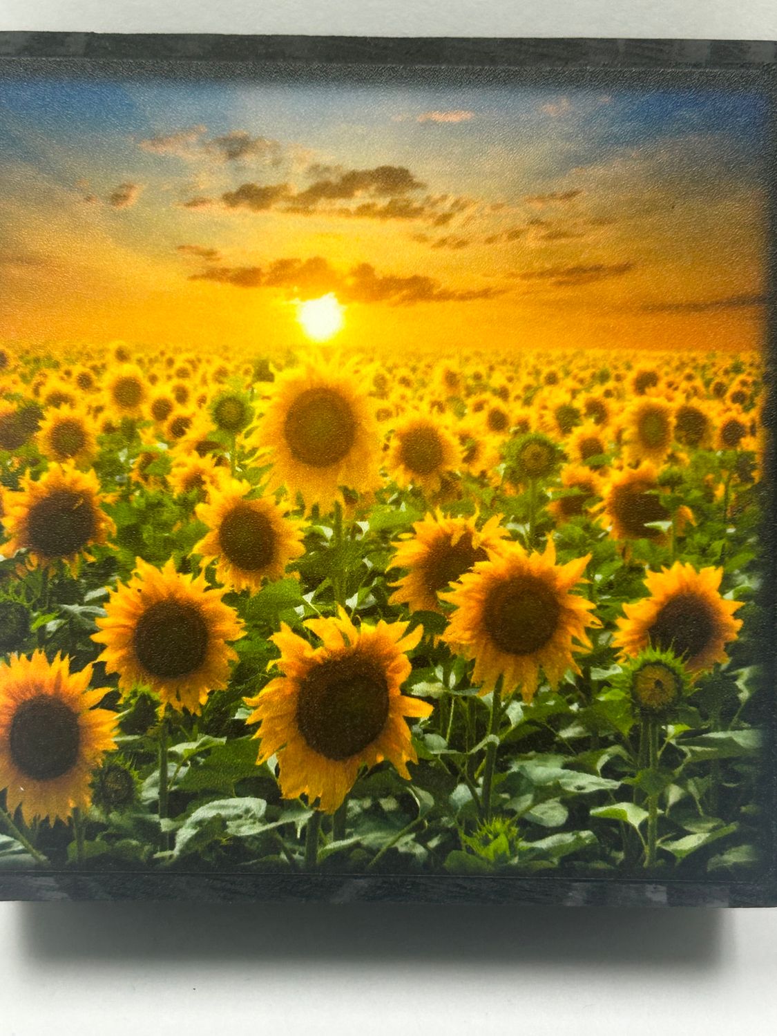 Art Block, Design: Sunflower