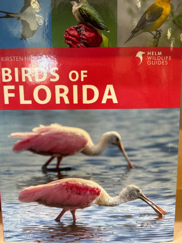 Birds of Florida by Kirsten Hines