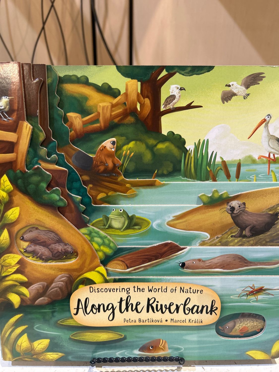 Book -  Along The Riverbank