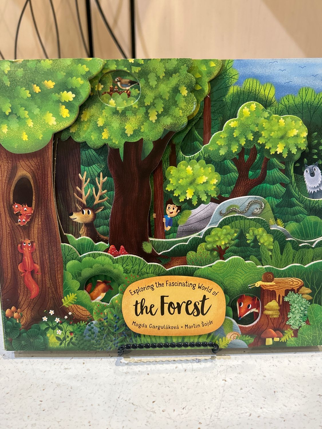 Book - Exploring Forest