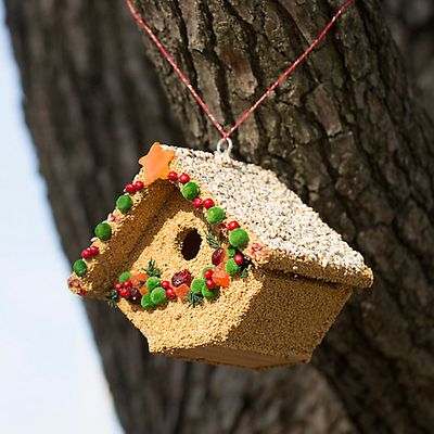 Birdhouse Fruit/Seed Casita