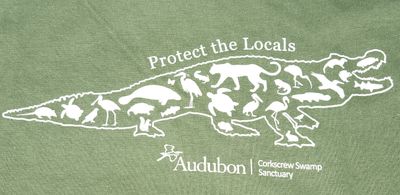 T-Shirt - Protect the Locals