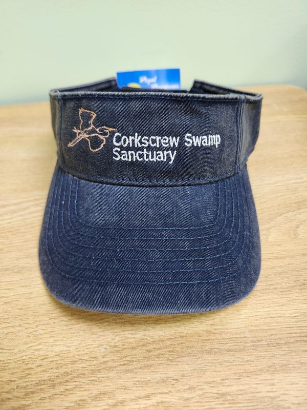Washed Navy Visor