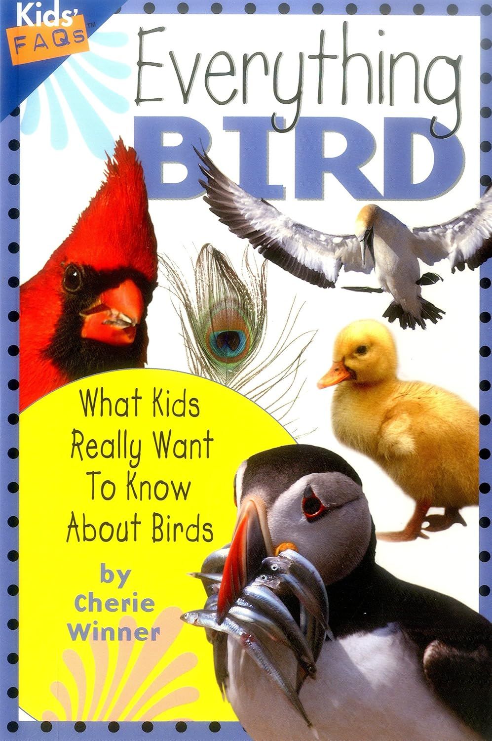 Book - Everything Bird