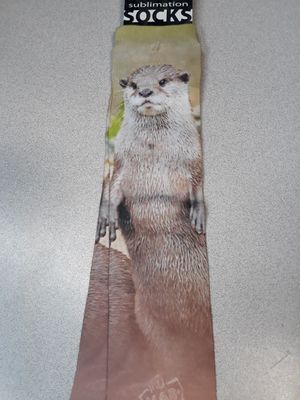 Adult Socks - Otter