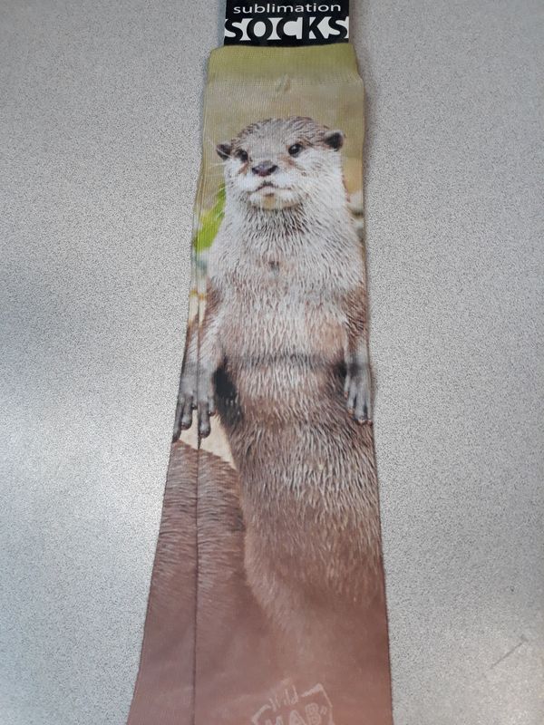 Adult Socks - Otter