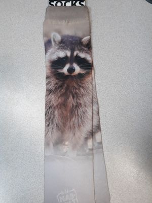 Adult Socks - Raccoon