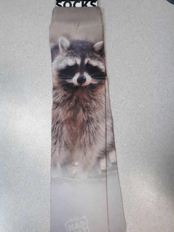 Adult Socks - Raccoon