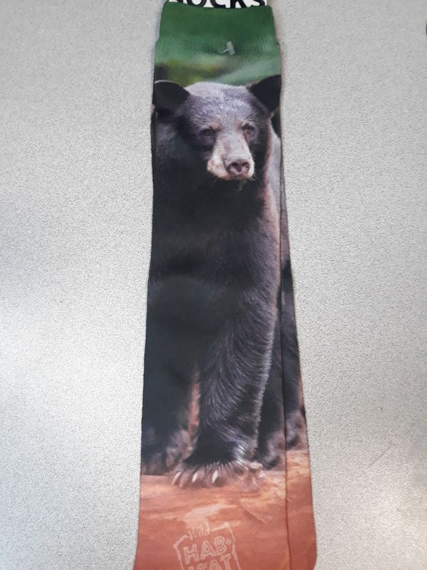 Adult Socks - Black Bear