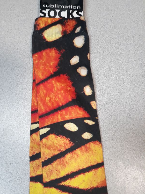 Adult Socks - Monarch