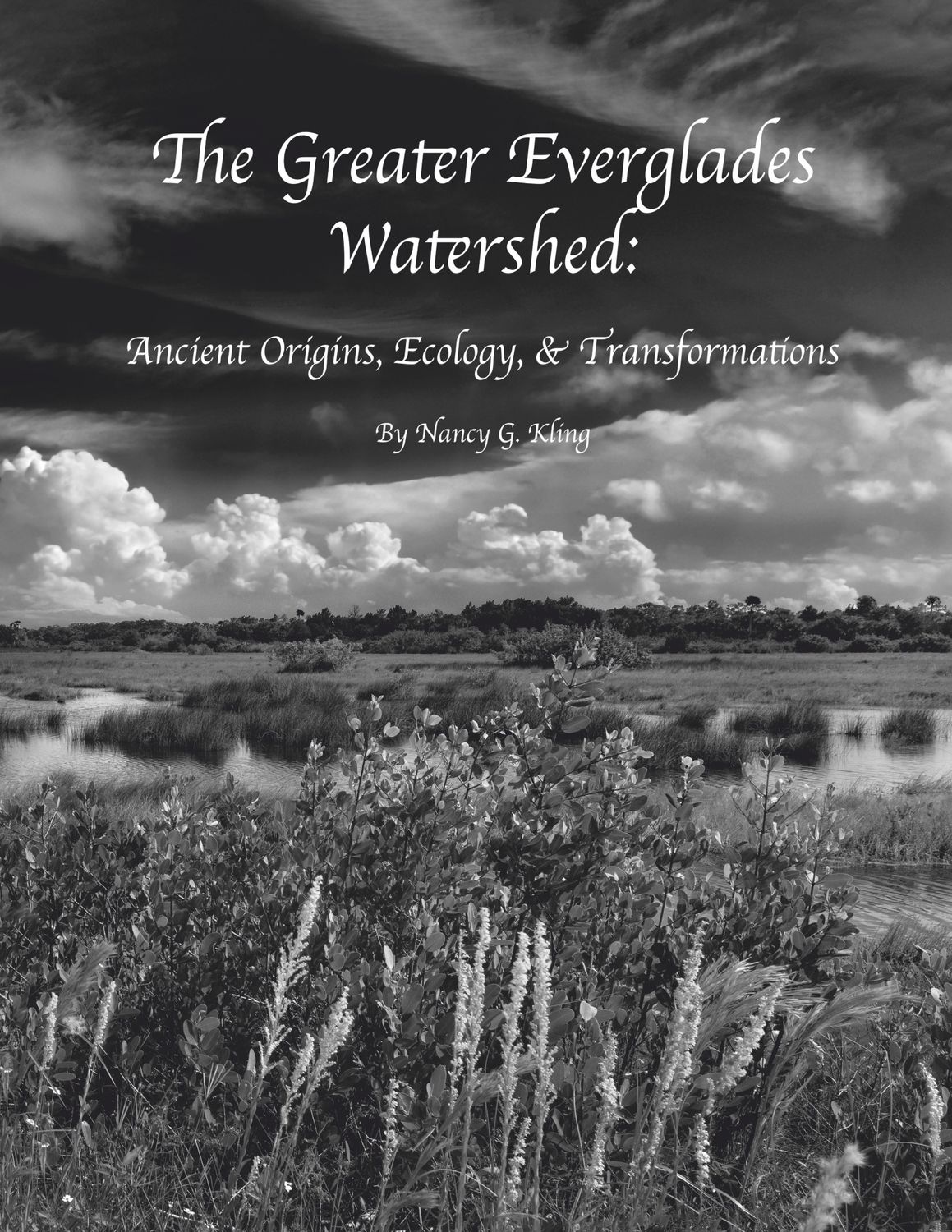 Book - The Greater Everglades Watershed