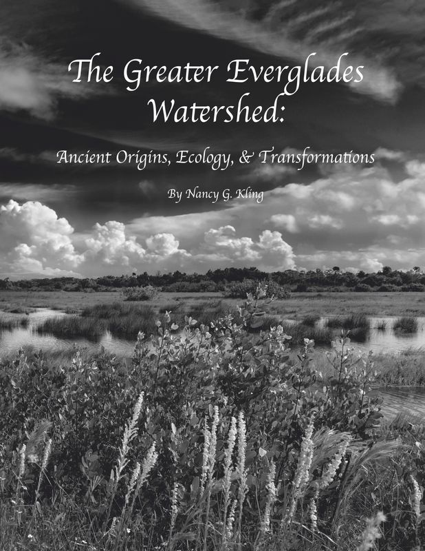 Book - The Greater Everglades Watershed