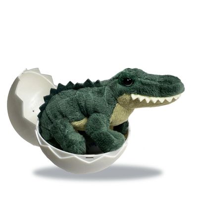 Alligator Hatchling Egg