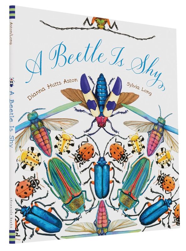 Book - Beetle Is Shy