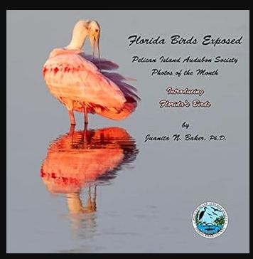 Book - Florida Birds Exposed