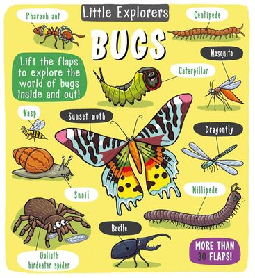Book - Little Explorer Bugs