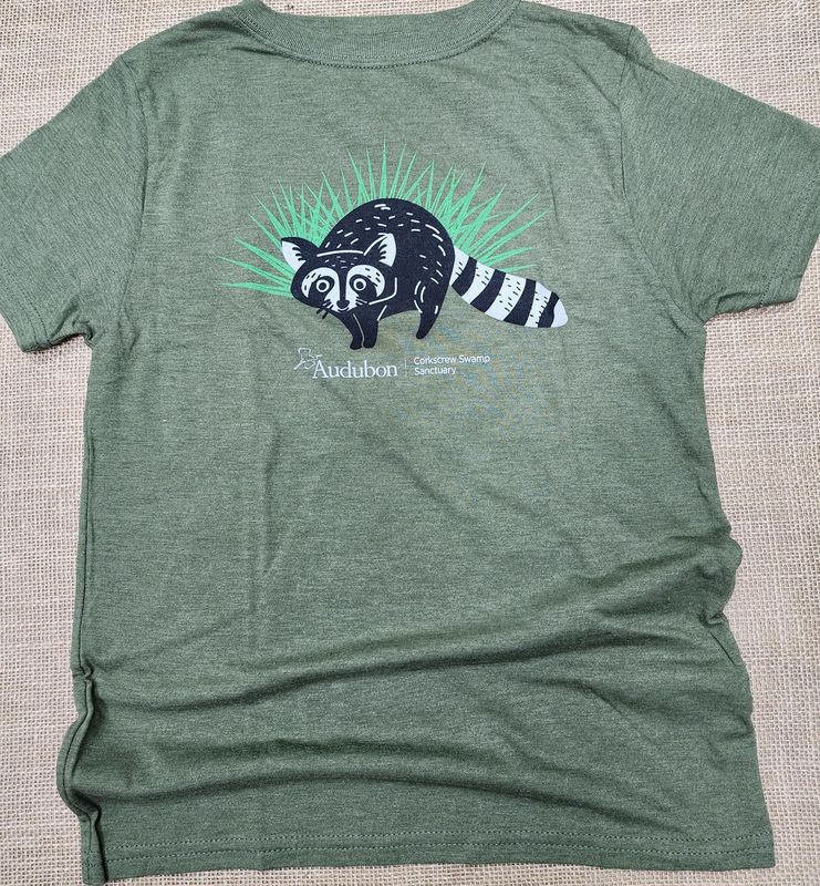T-Shirt - Youth Raccoon
