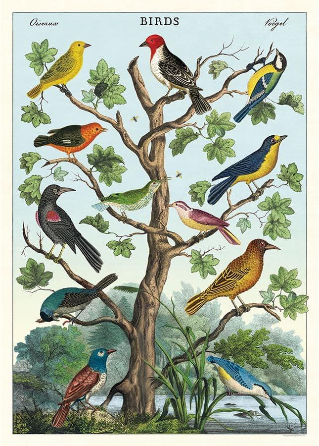 Cavalini Notebook, Design: Birds