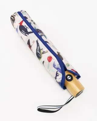 Umbrella