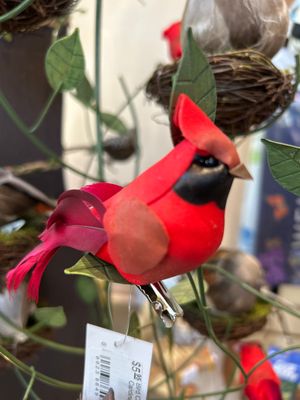 Bird Clips - Cardinal