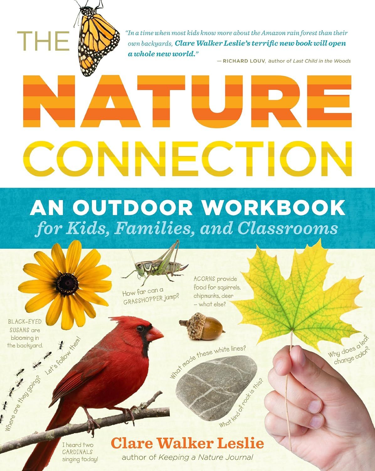 Book - Nature Connection