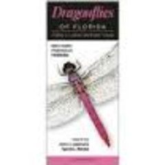 Folding Guides - Spiders &amp; Insects