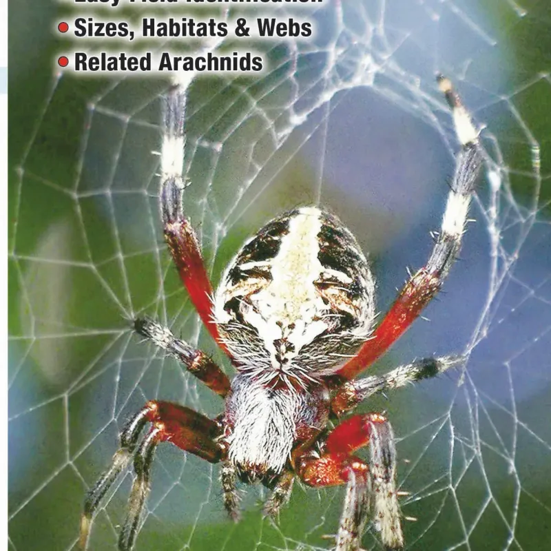 Folding Guides - Spiders &amp; Insects
