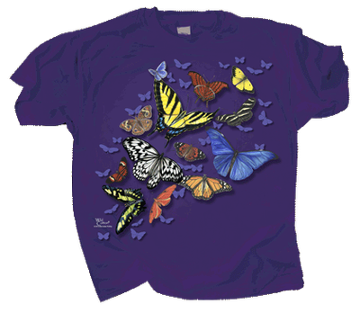 T- Shirt Butterfly Wonder