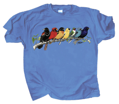T-Shirt - Songbird Spectrum
