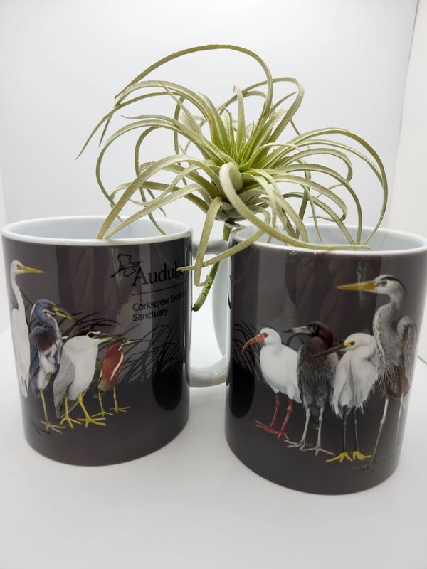 Ceramic Mugs