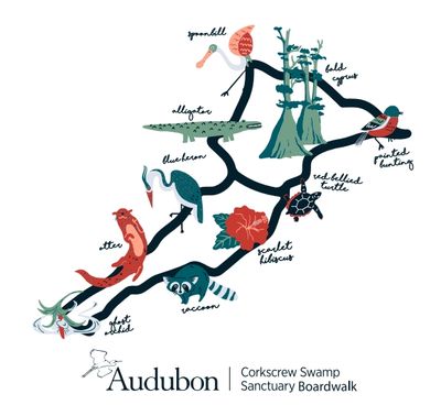 T-Shirt - Ladies Boardwalk Map