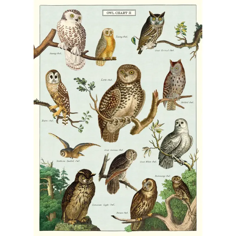 Vintage Poster