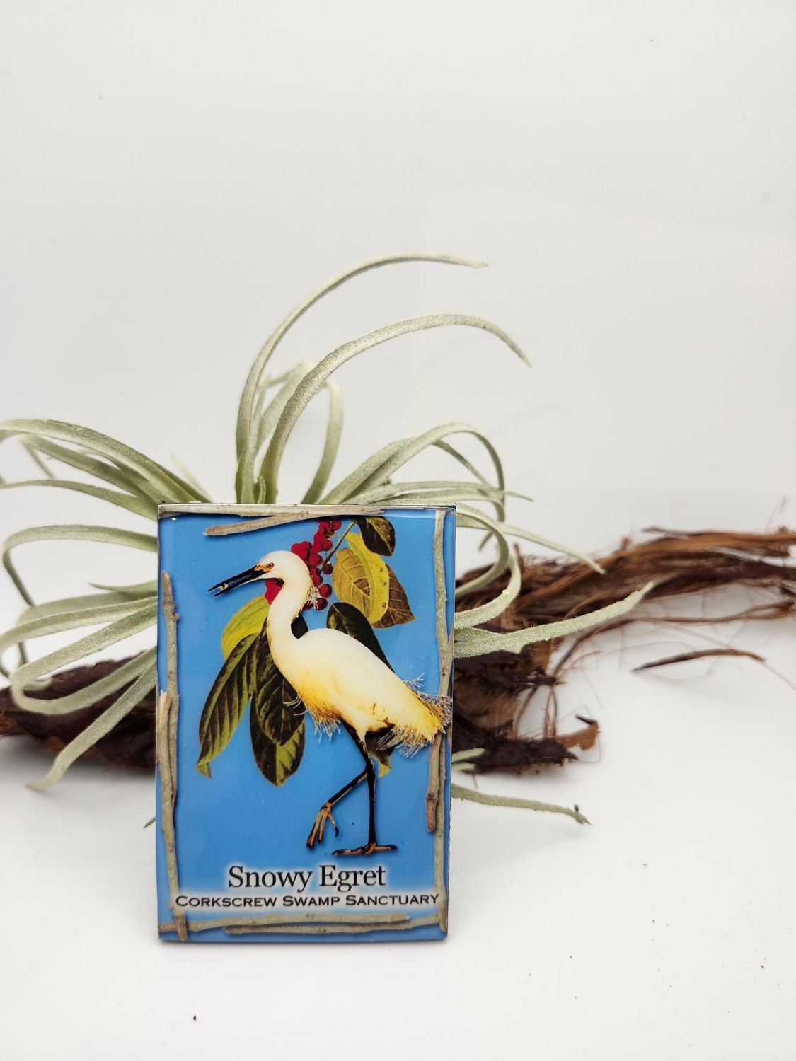 Magnets, Design: Great Egret