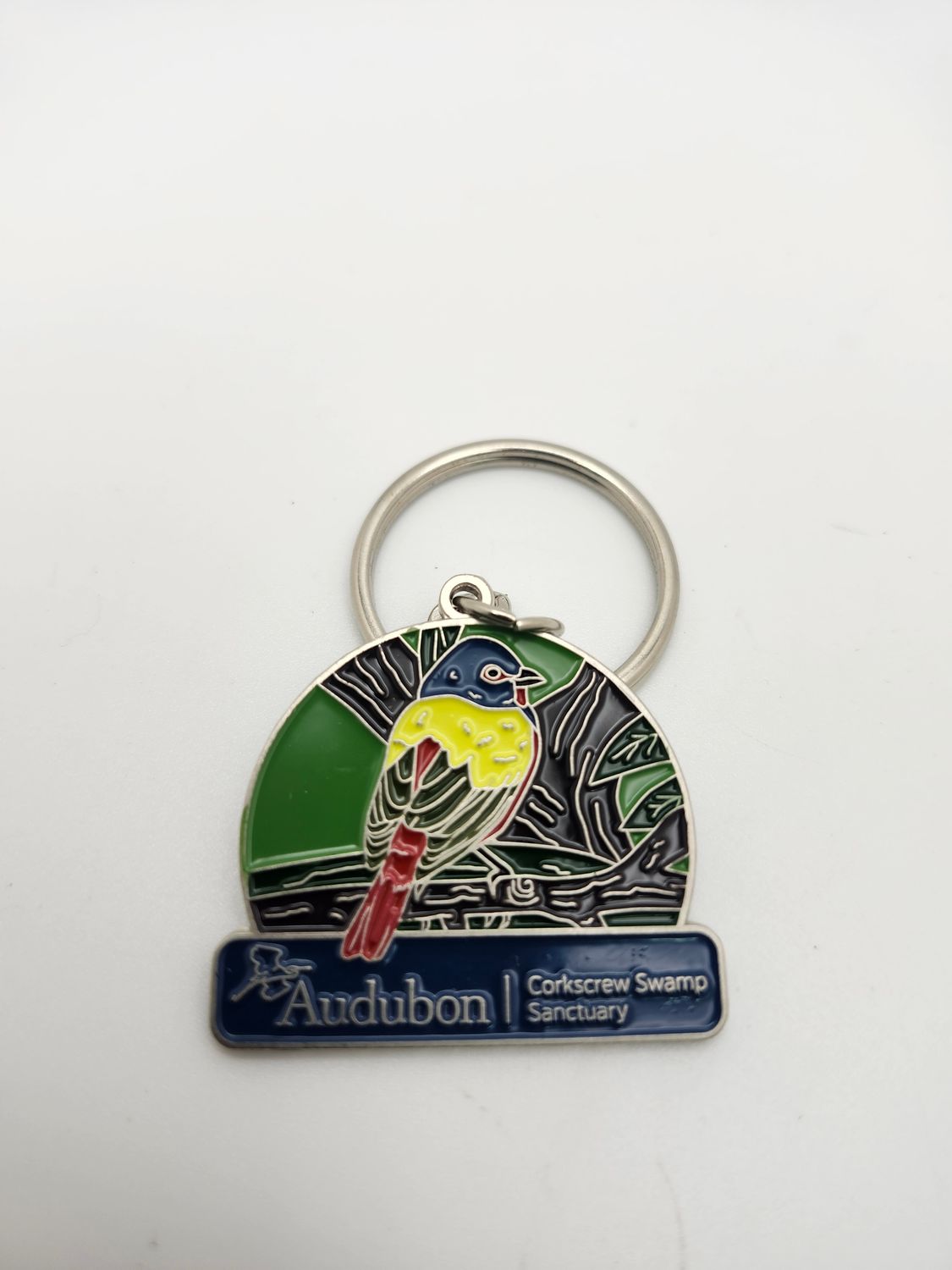 Keychain  CSS Painted Bunting