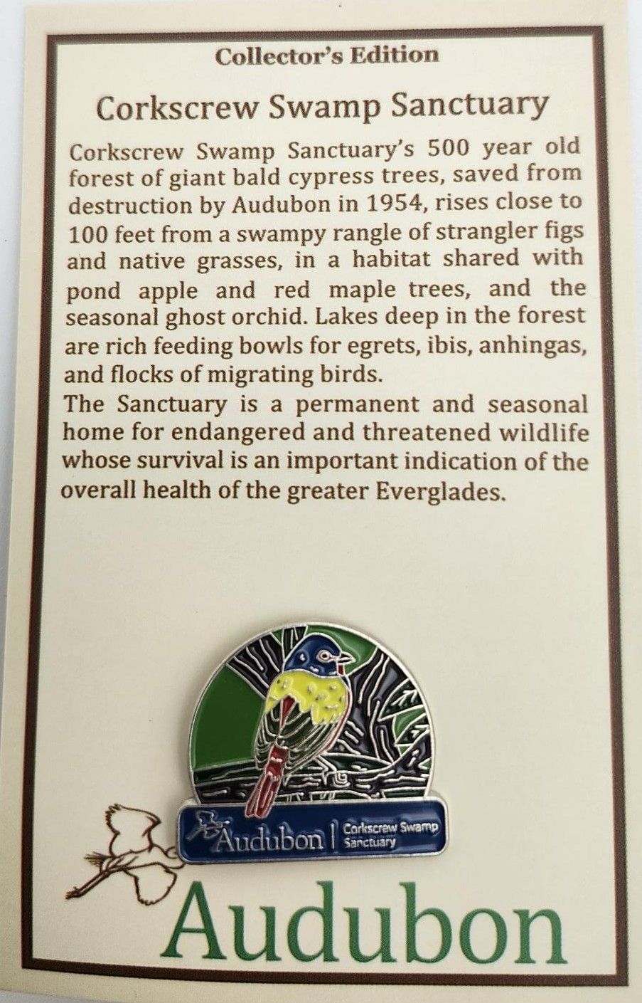 Pin -  Corkscrew Painted Bunting