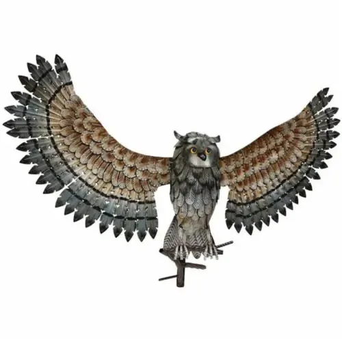 Wall Decor -  Owl Wings up