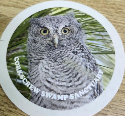 Sticker -  Resticker Asstd.