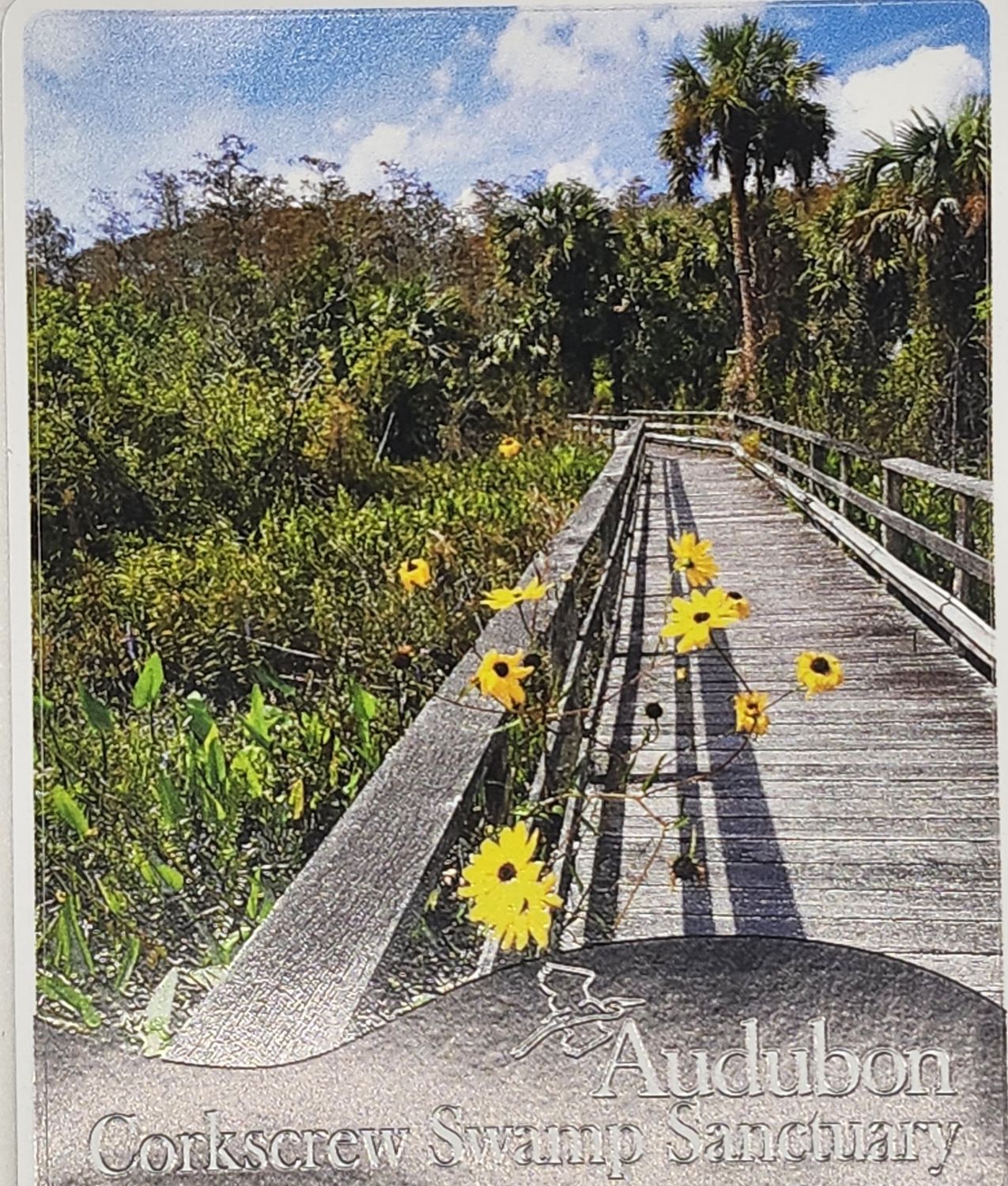 Sticker Logo Boardwalk Photo
