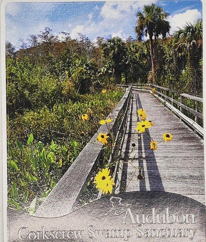 Sticker Logo Boardwalk Photo