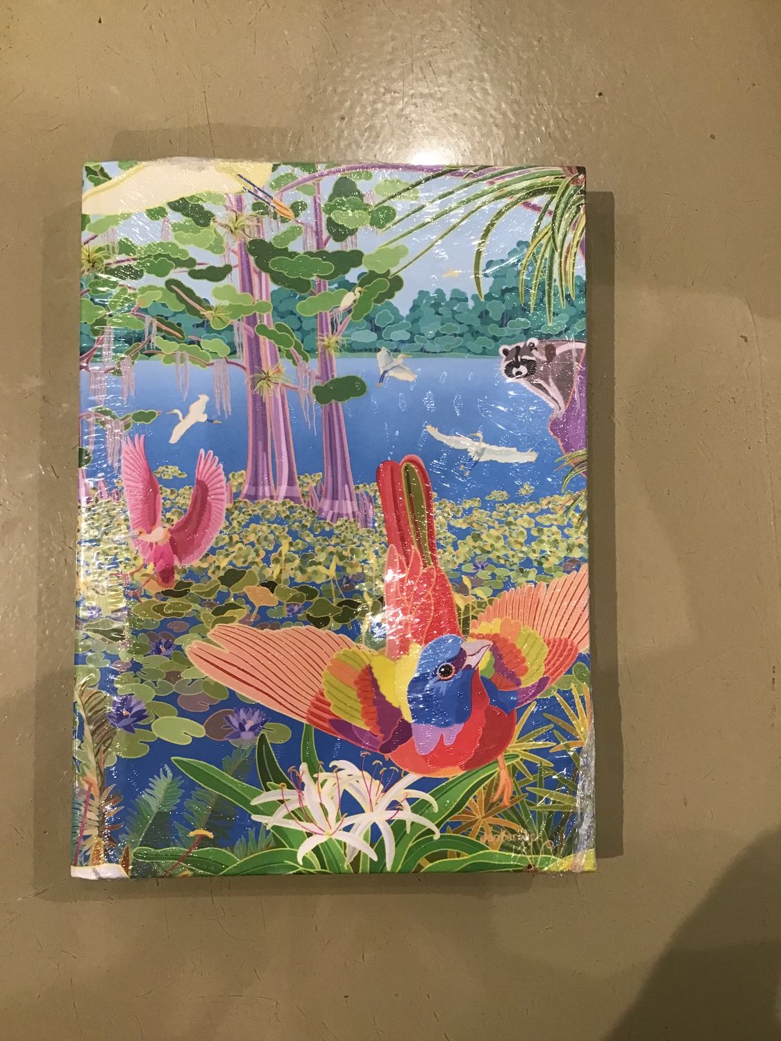 Book - Journal Spring on Lettuce Lake
