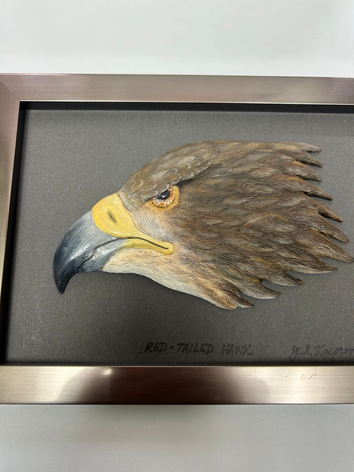 Red Tailed Hawk Head -Wall Mount