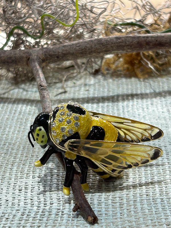 Trinket Box - Bumble Bee 3476